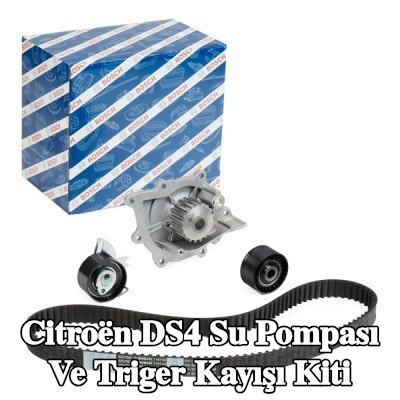 BOSCH Su pompası ve triger kayışı kiti Diş Sayısı: 116, Width: 25, 4mm — Citroën Ds4