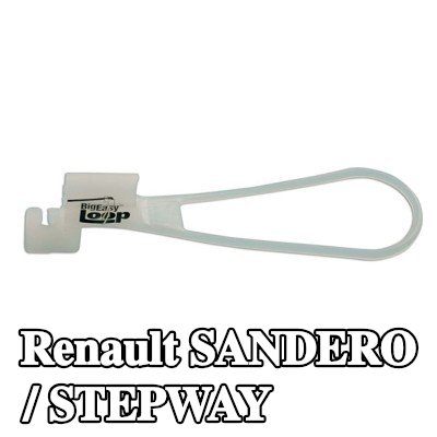 Power-TEC مزلاج الباب — Renault Sandero / Stepway