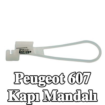 Power-TEC Kapı Mandalı — Peugeot 607