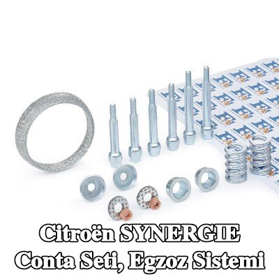 FA1 Conta Seti, egzoz sistemi — Citroën Synergie