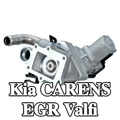 HELLA Sızdırmazlık halkaları ile birlikte EGR valfi — Kia Carens