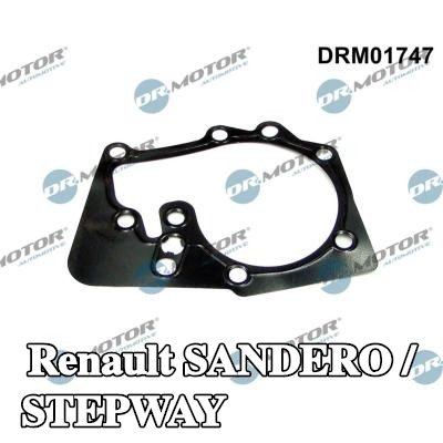 DR.MOTOR AUTOMOTIVE حشية، مضخة المياه — Renault Sandero / Stepway