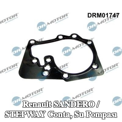 DR.MOTOR AUTOMOTIVE Conta, su pompası — Renault Sandero / Stepway