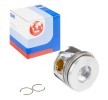 IPSA Piston segmanlı piston, piston segman taşıyıcısı ile — Mitsubishi Lancer (1)