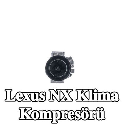 MAHLE Sızdırmazlık Halkalı Klima Kompresörü — Lexus Nx