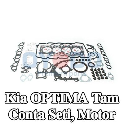Oyodo Tam conta seti, motor — 2016 Kia Optima