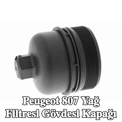 VAICO Yağ filtresi gövdesi kapağı — 2002 Peugeot 807