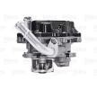 VALEO Contalı/sızdırmazlık elemanlı EGR valfi, EGR soğutucusuz, ORIGINAL PART — Audi A6 (4)
