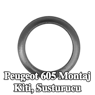 WALKER Montaj Kiti, susturucu Merkez, Ön, Arka — Peugeot 605