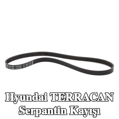 BOSCH Serpantin kayışı 841mm, Number of ribs: 4 — Hyundai Terracan