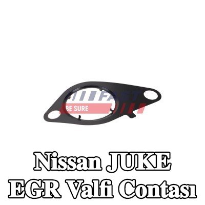 FAST EGR valfi contası — Nissan Juke