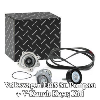 RIDEX Su Pompası + V-Yivli Kayış Kiti contalı/sızdırmaz — 2006 Volkswagen Eos