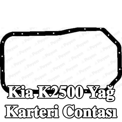 PAYEN Yağ karteri contası — Kia K2500