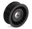 SKF Saptırma / kılavuz kasnağı, V-ribbed belt Ø: 76, 1mm — Honda Crossroad (2)
