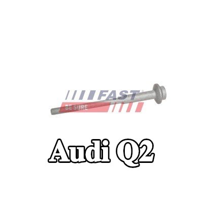 FAST برغي مشبك الحاقن — Audi Q2