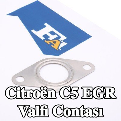 FA1 EGR valfi contası — 2002 Citroën C5