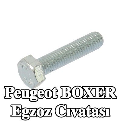 WALKER Egzoz cıvatası — Peugeot Boxer