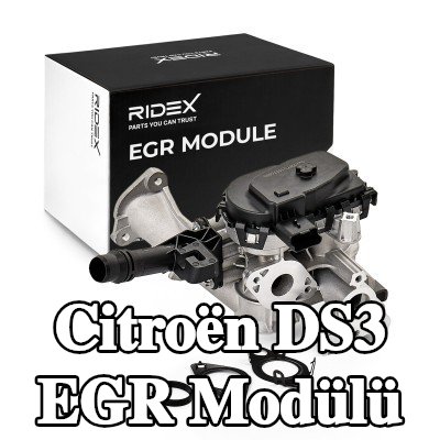 RIDEX Sabitleme/montaj malzemeli EGR Modülü — Citroën Ds3