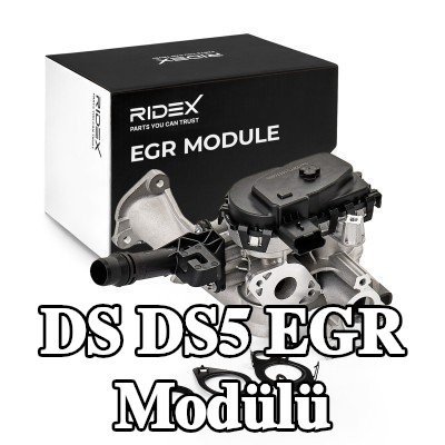 RIDEX Sabitleme/montaj malzemeli EGR Modülü — DS Ds5