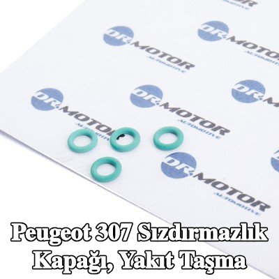 DR.MOTOR AUTOMOTIVE Sızdırmazlık Kapağı, yakıt taşma — Peugeot 307