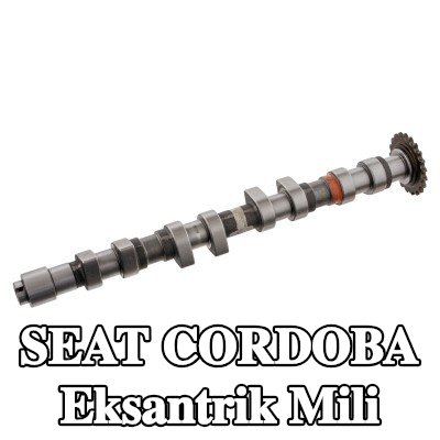 FEBI BILSTEIN Egzoz tarafı eksantrik mili — 2000 SEAT Cordoba