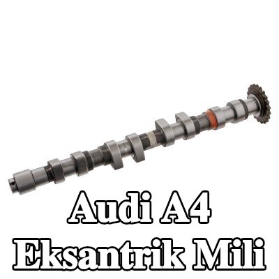 FEBI BILSTEIN Egzoz tarafı eksantrik mili — 1995 Audi A4