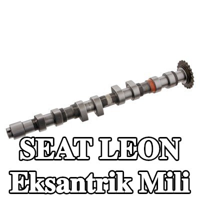 FEBI BILSTEIN Egzoz tarafı eksantrik mili — 1999 SEAT Leon