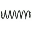SACHS Helezon yay — Volkswagen Beetle (4)
