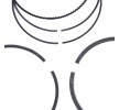 KOLBENSCHMIDT Piston Segman Kiti — Nissan Altima (3)