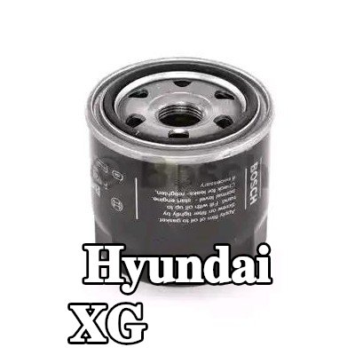 BOSCH فلتر الزيت مع صمام واحد مانع للرجوع — Hyundai Xg