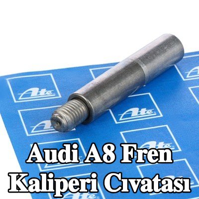ATE Fren kaliperi cıvatası — 2002 Audi A8