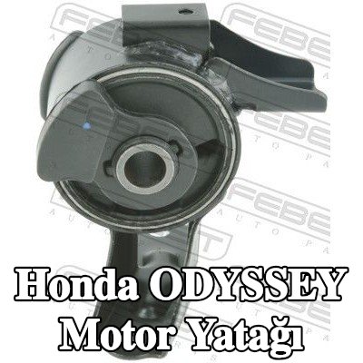 FEBEST Sağ Ön Motor Yatağı — Honda Odyssey