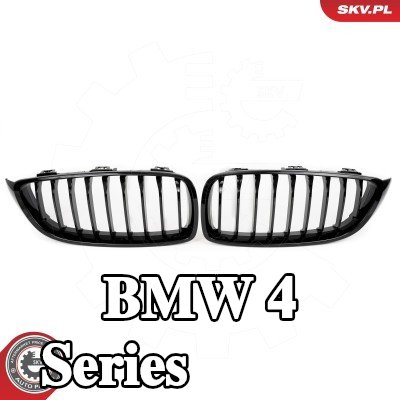 ESEN SKV شبكة المبرد على الجانبين, لامع, أسود — 2016 BMW 4 Series