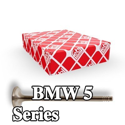FEBI BILSTEIN صمام العادم — 2011 BMW 5 Series