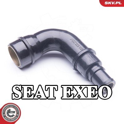 ESEN SKV أنبوب السحب, مرشح الهواء العلوي — SEAT Exeo