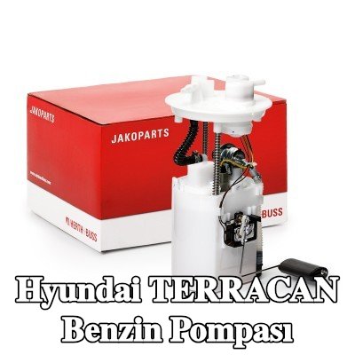 HERTH+BUSS JAKOPARTS Benzin pompası — Hyundai Terracan