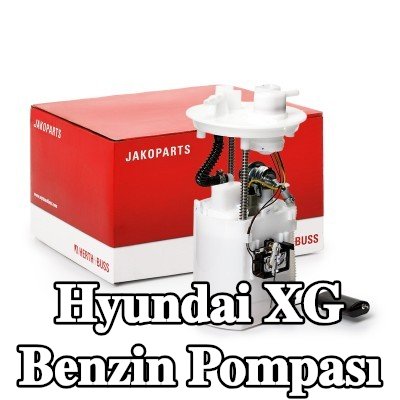 HERTH+BUSS JAKOPARTS Benzin pompası — Hyundai Xg