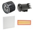 RIDEX Filtre kiti — 2002 Renault Scénic (1)