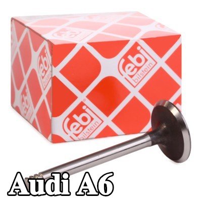 FEBI BILSTEIN صمام السحب — 2002 Audi A6