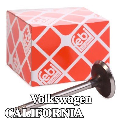 FEBI BILSTEIN صمام السحب — 2008 Volkswagen California