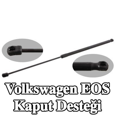 FEBI BILSTEIN Kaput destek çubuğu Sağ — Volkswagen Eos