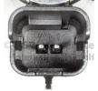 PIERBURG VVT solenoidi — Citroën C8 (2)