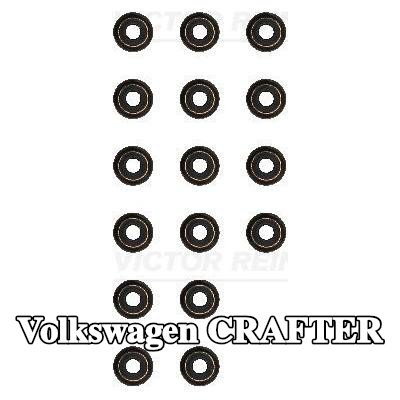 REINZ مجموعة سدادات صمامات الصمامات — Volkswagen Crafter