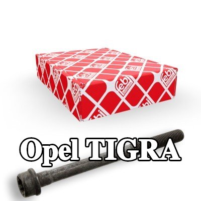 FEBI BILSTEIN برغي رأس الأسطوانة — Opel Tigra