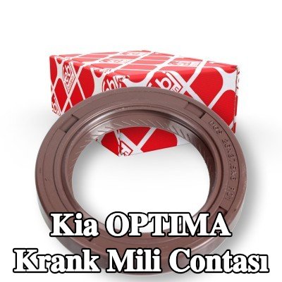 FEBI BILSTEIN FPM (florlu kauçuk) krank mili contası — Kia Optima