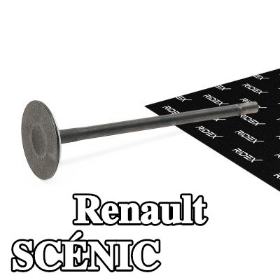 RIDEX صمام السحب - طرف ساق الصمام مقوى — 2002 Renault Scénic