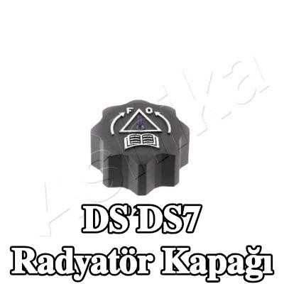 ASHIKA Radyatör kapağı — DS Ds7