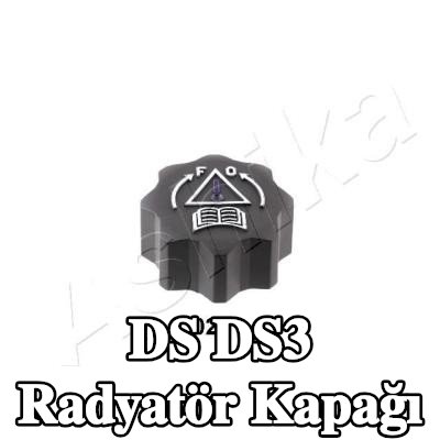 ASHIKA Radyatör kapağı — DS Ds3