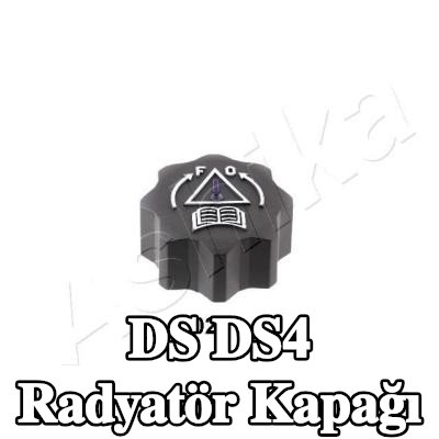 ASHIKA Radyatör kapağı — DS Ds4
