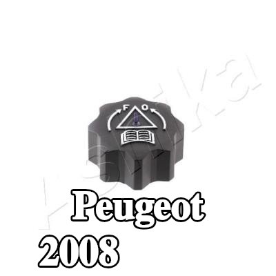 ASHIKA غطاء المبرد — Peugeot 2008
